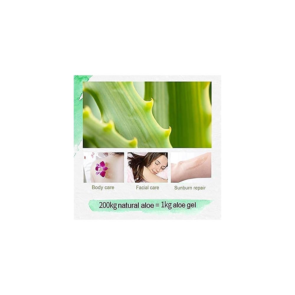 Aloe Vera Organic Moisturizing Gel