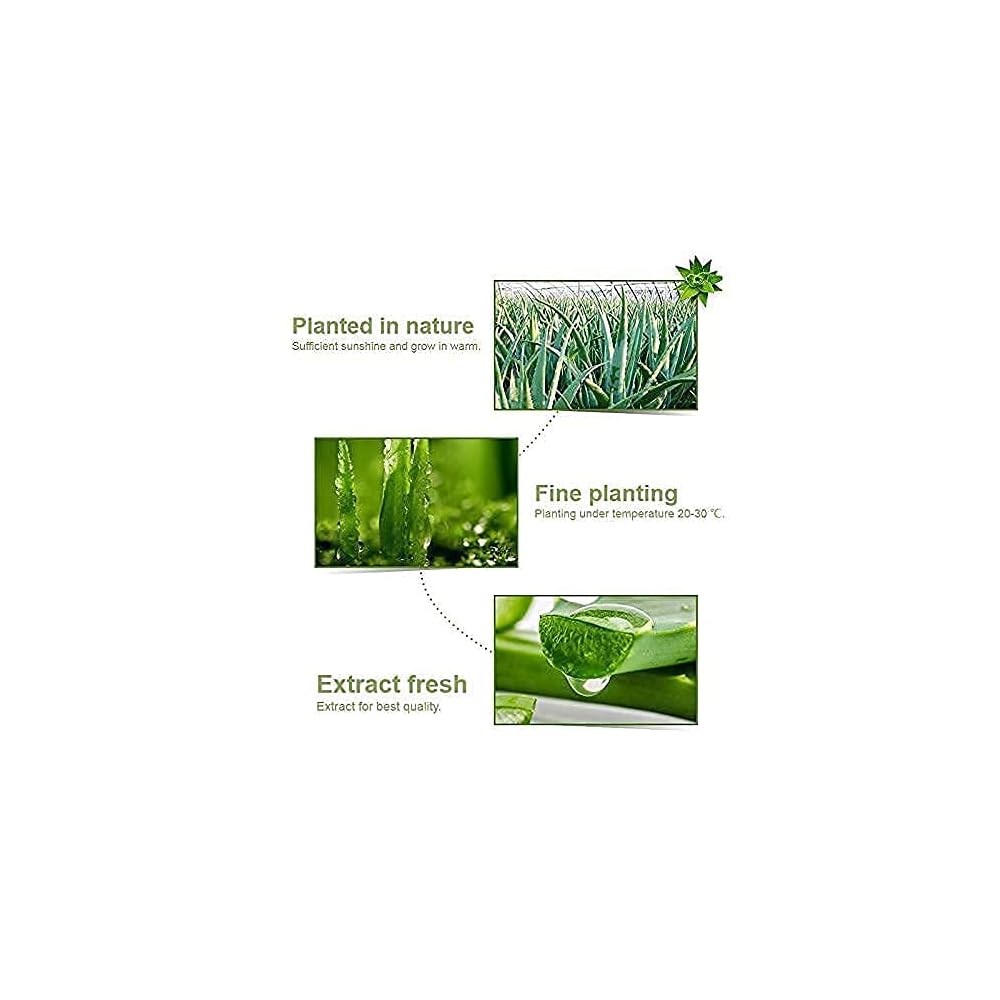 جل الترطيب من الصبار العضوي الالفيرا