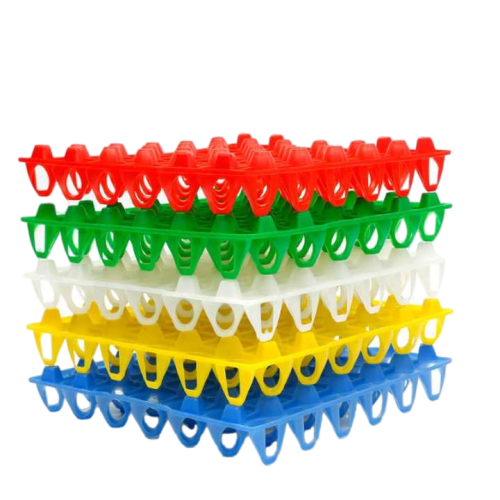 حافظة بيض بلاستيك