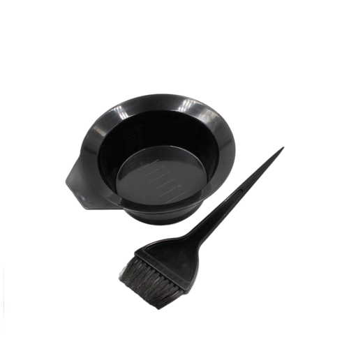 صحن وفرشاة صبغة