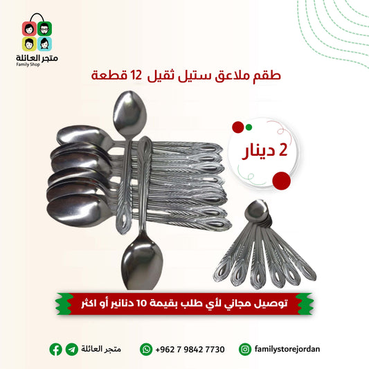 12-piece stainless steel spoon set