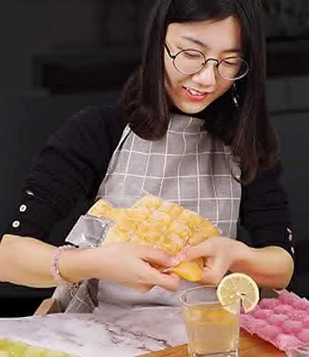 Freezer bags for lemons, ice, and juice