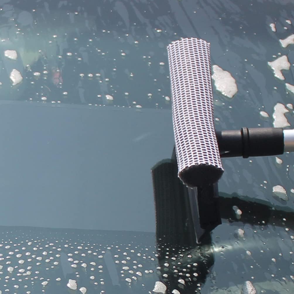 Professional glass squeegee and scrubber