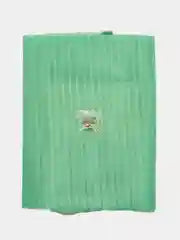 Magnetic screen door